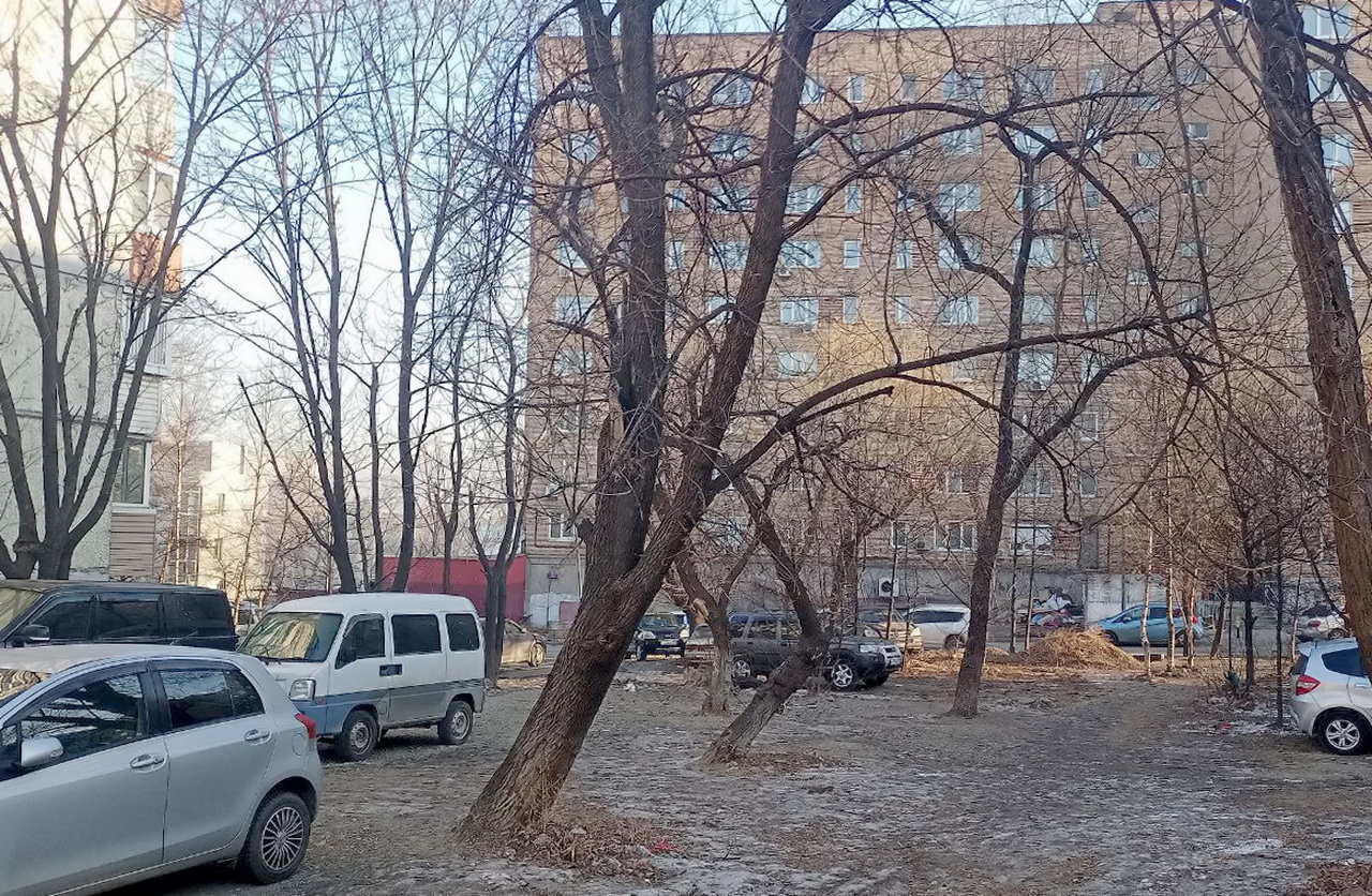 Жители обсудили проект сквера в районе Народного проспекта