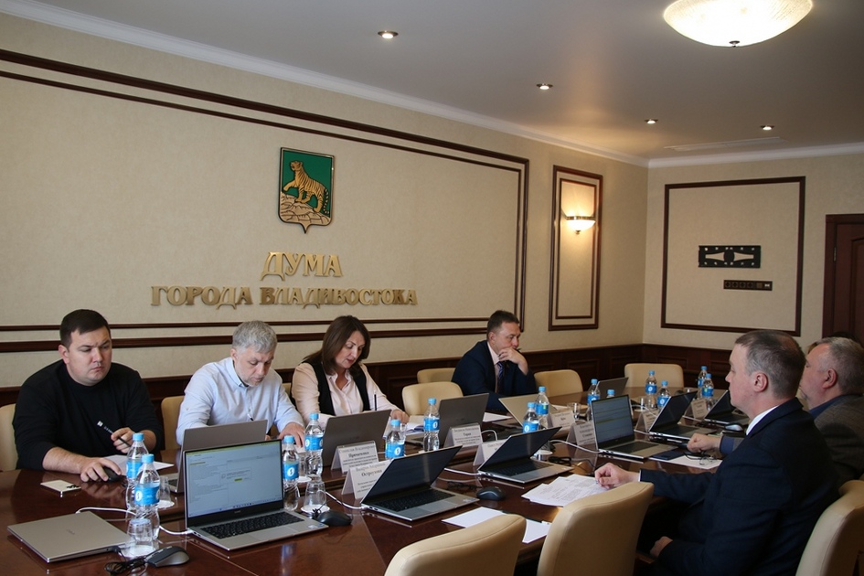 Комитет рассмотрел проекты правовых актов о присвоении звания «Почетный гражданин города Владивостока», социальной поддержке многодетных семей   