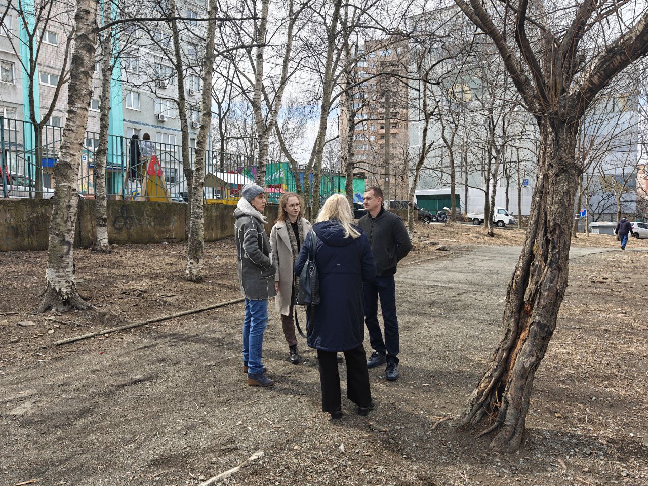 На округе депутата Вероники Сипачевой начинают реализацию проекта «Народная аллея»